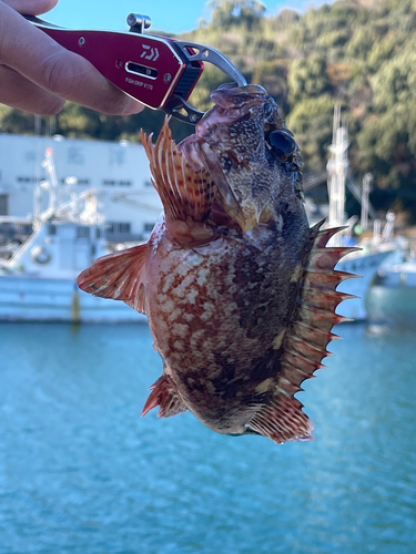 釣果