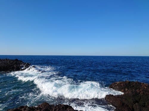 ヤズの釣果