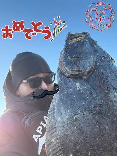 ヒラメの釣果