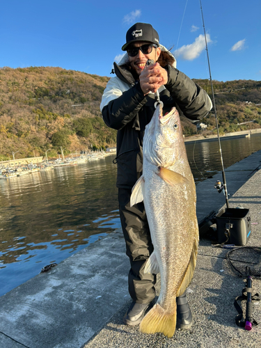 オオニベの釣果