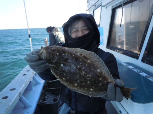 ヒラメの釣果