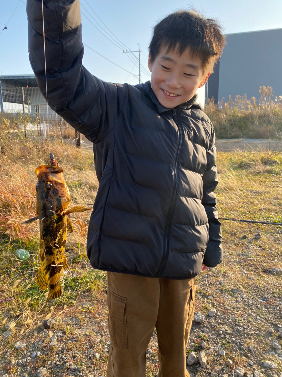 タケノコメバル