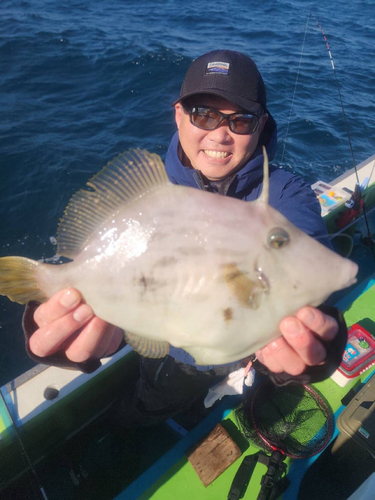 カワハギの釣果