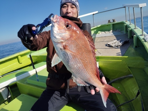 マダイの釣果