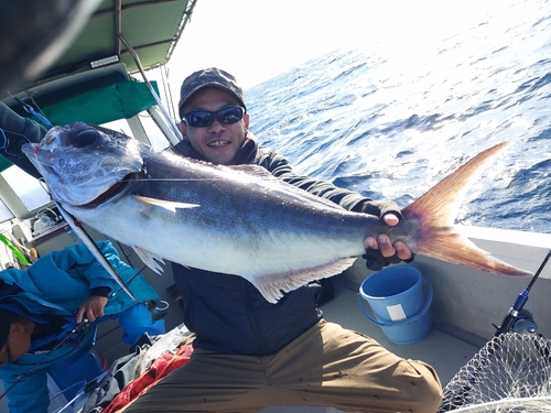 メダイの釣果