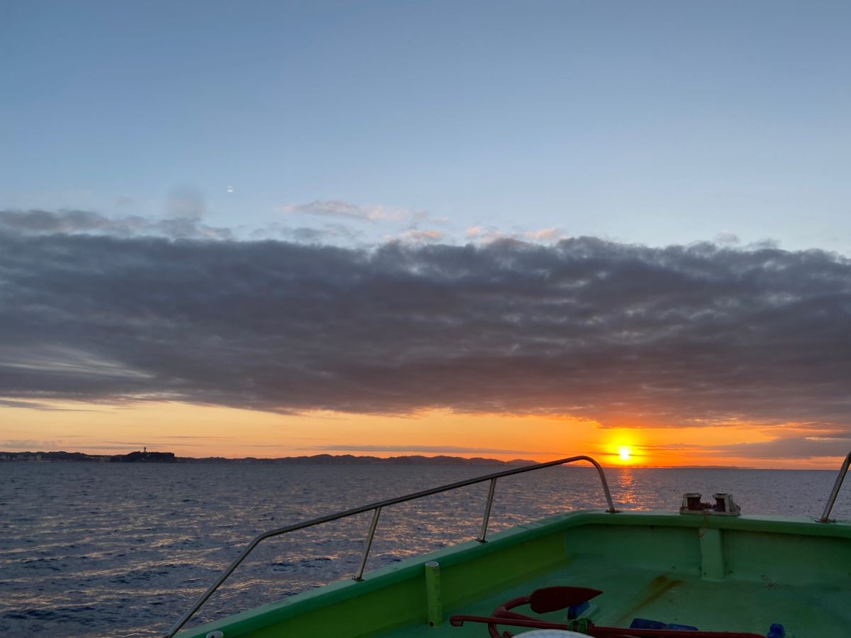 湘南のかつさんの釣果 3枚目の画像