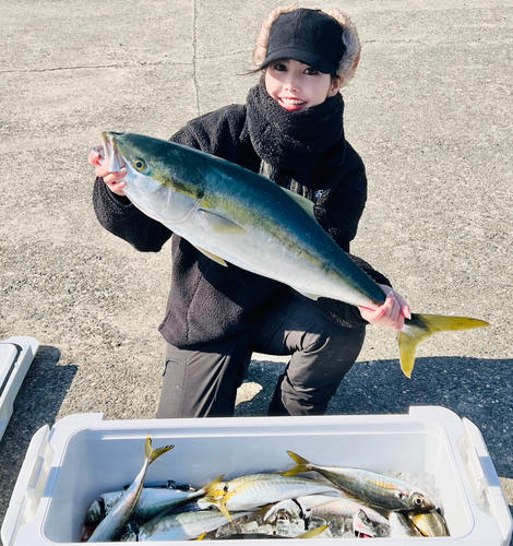 ブリの釣果