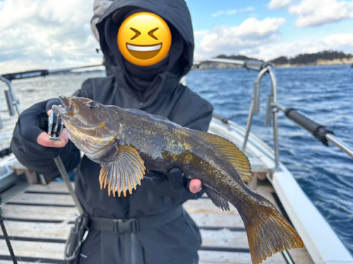 アイナメの釣果