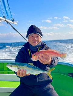 アカアマダイの釣果