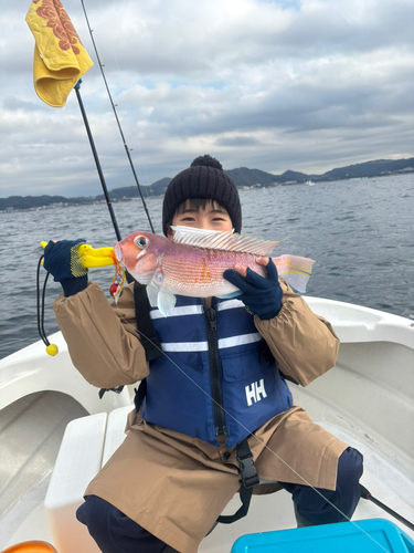 アカアマダイの釣果