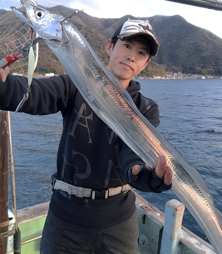 タチウオの釣果