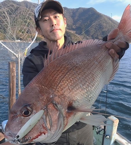 タイの釣果