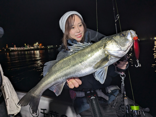 シーバスの釣果