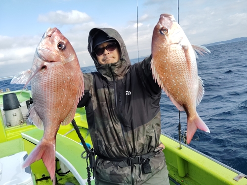 マダイの釣果