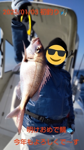 マダイの釣果