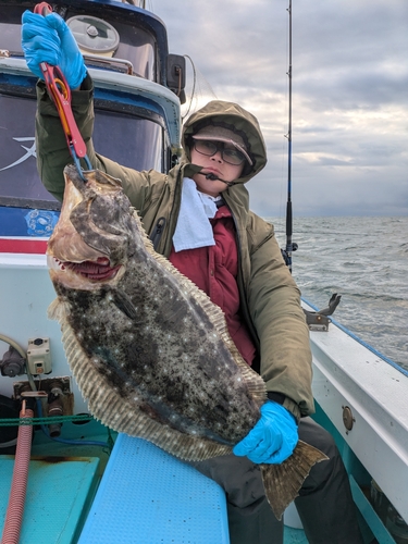 ヒラメの釣果