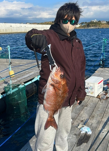 タイの釣果