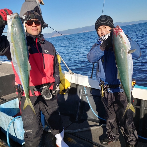 ブリの釣果