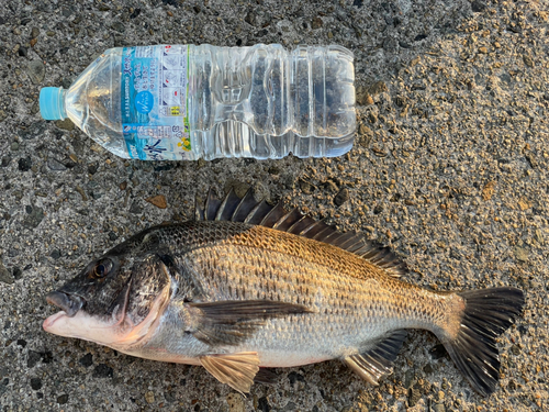 相生湾