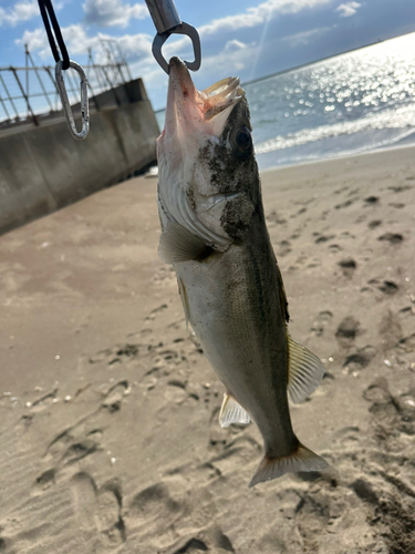 県北サーフ