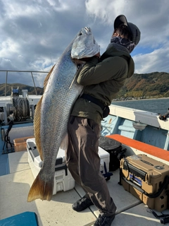 オオニベの釣果