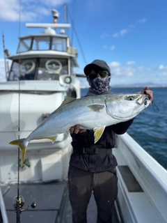 ブリの釣果