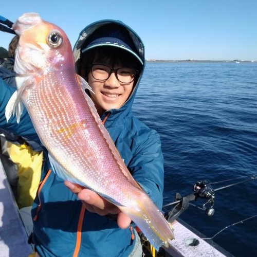 アマダイの釣果