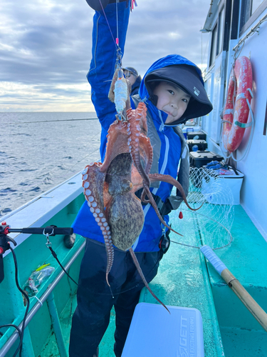 マダコの釣果