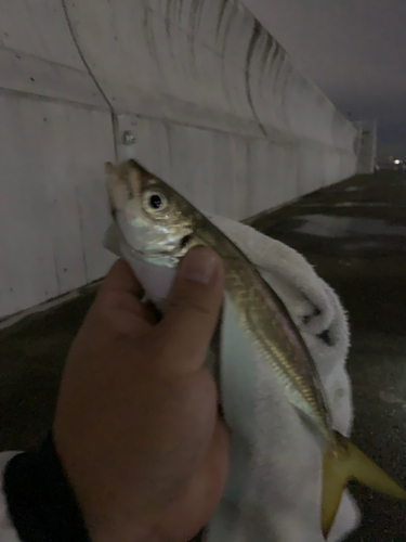 南芦屋浜ベランダ