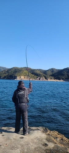 クチブトグレの釣果