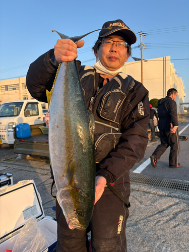 ヒラマサの釣果