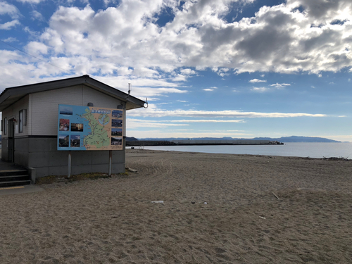 シタビラメの釣果