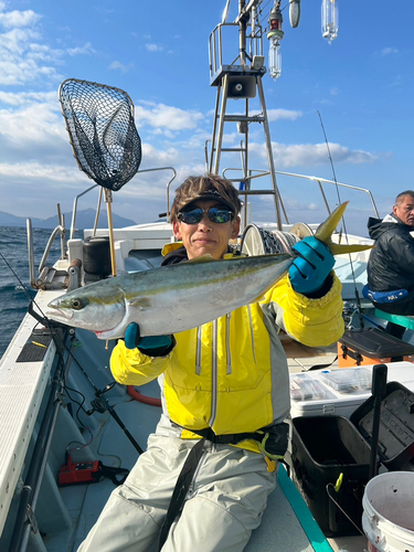 ヒラマサの釣果