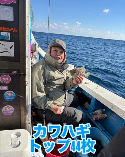 カワハギの釣果