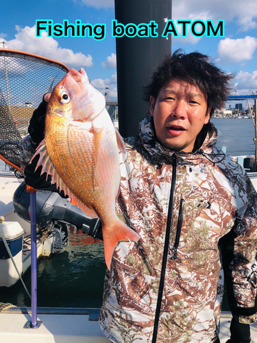 マダイの釣果