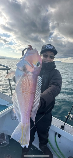 アカアマダイの釣果