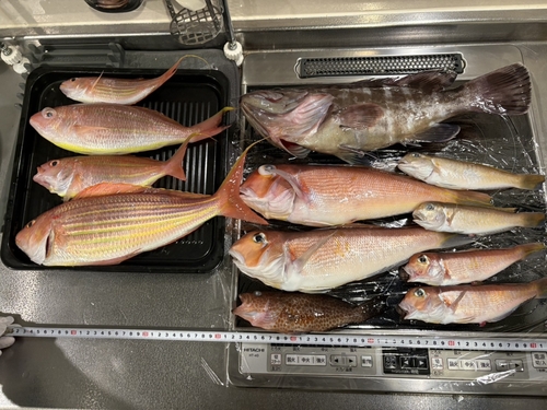 シロアマダイの釣果