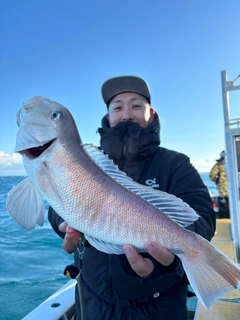 シロアマダイの釣果