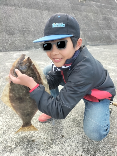 ヒラメの釣果