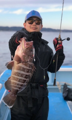 マハタの釣果