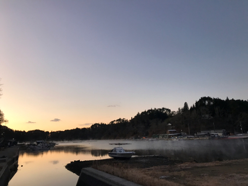 アイナメの釣果