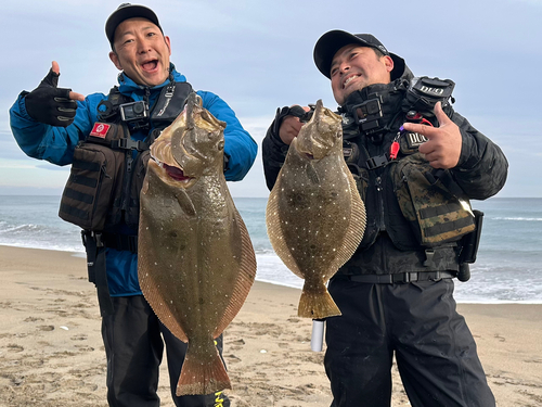 ヒラメの釣果