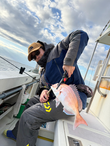 マダイの釣果