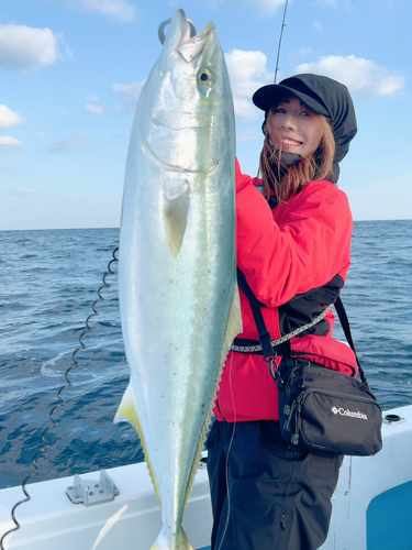 ブリの釣果