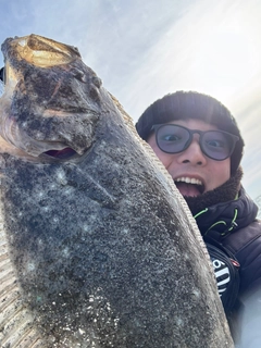 ヒラメの釣果