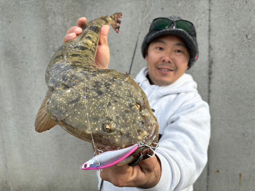 マゴチの釣果