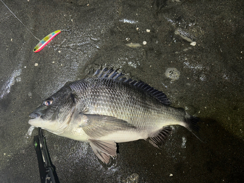 養老川臨海公園