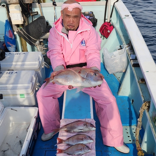 マダイの釣果