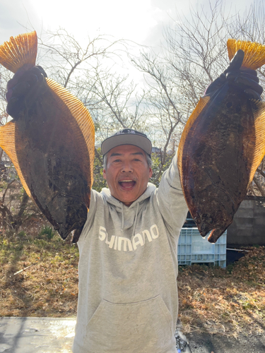 ヒラメの釣果