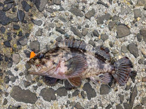 男鹿半島